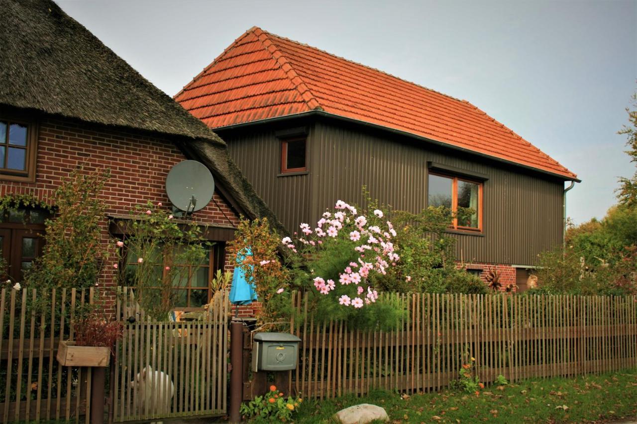 Lueuentjenest Appartement Elsfleth Buitenkant foto